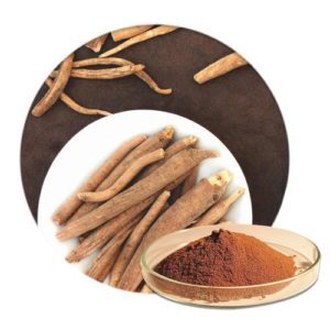 Ashwagandha Extract
