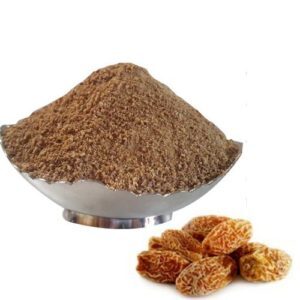 Date Fruit Powder