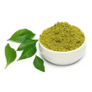 Curry leaves Powder