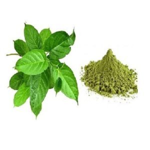 Gymnema Extracts
