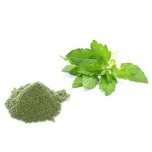 Holy Basil (Tulsi) Extract