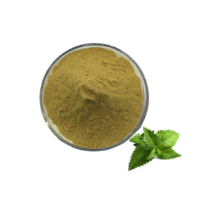 Mint extract