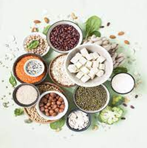 Plant Protein