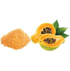 Fermented Fruit and Vegetable Powder