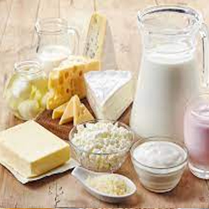 Dairy Ingredients